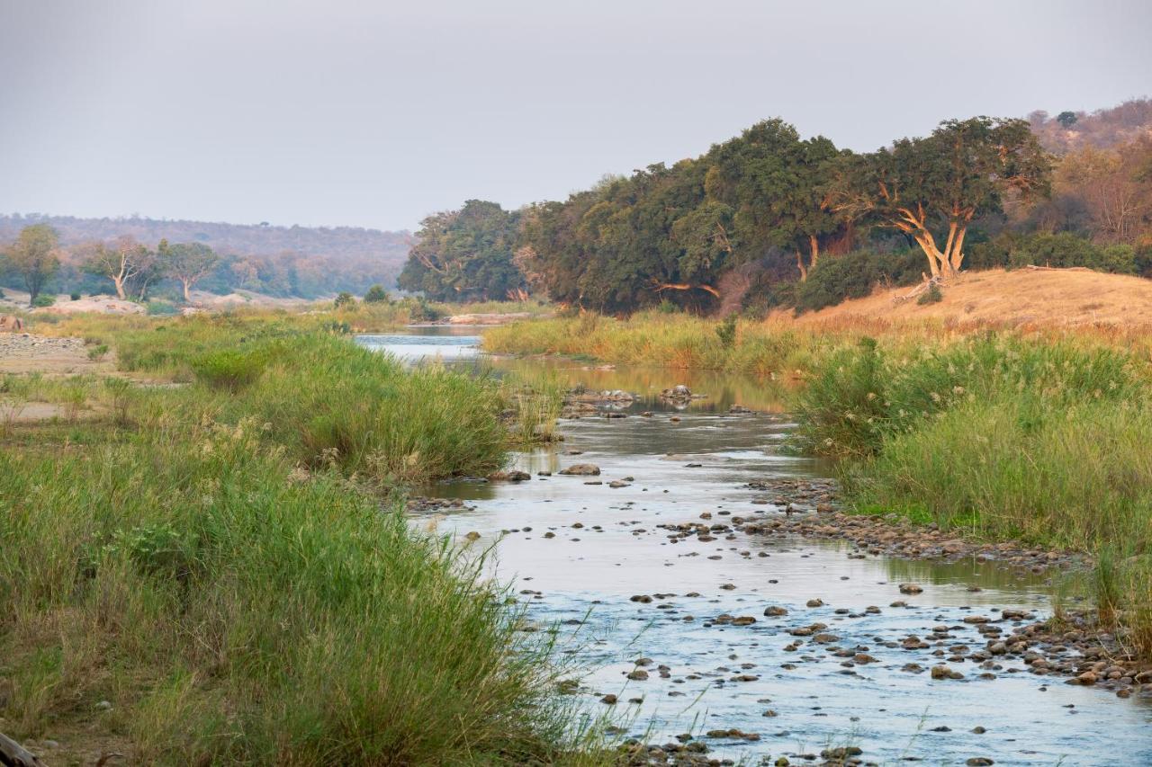 Pondoro Game Lodge Balule Game Reserve Zewnętrze zdjęcie