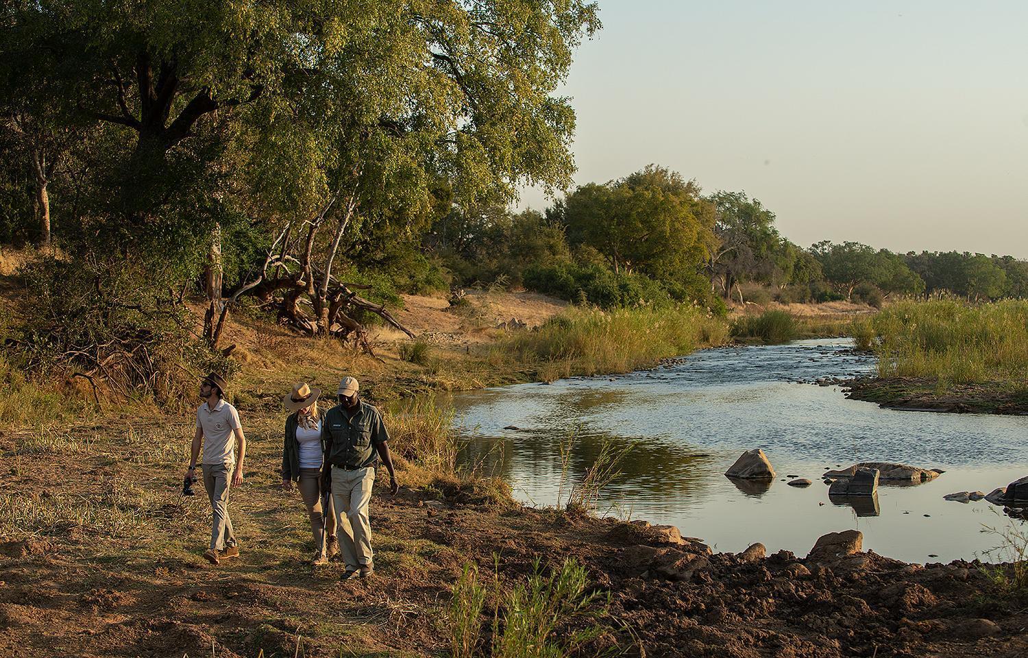 Pondoro Game Lodge Balule Game Reserve Zewnętrze zdjęcie